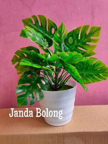 Bunga Plastik Hias Tanaman pot Bonsai Monstera Janda Bolong Palem warna Putih