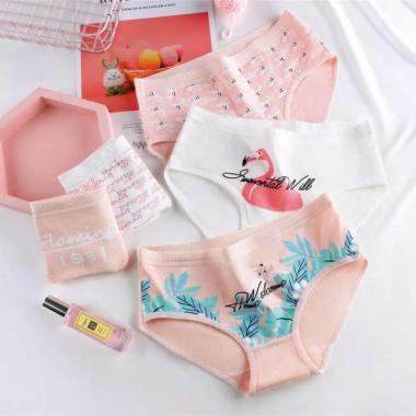 CD imut fashion Undies Celana Dalam Wanita Polos high quality mauseksi