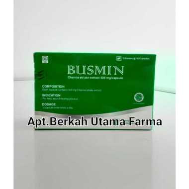 Busmin Box isi 30 Kapsul