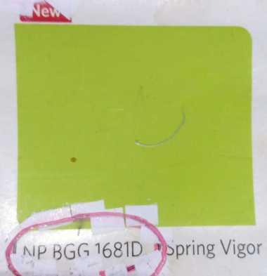 Cat Tembok Vinilex 5 Kg , Cat Nippon Paint 5Kg, cat tembok interior dan eksterior 1681 D/SPRING VIGO
