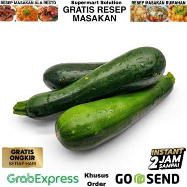 Zucchini / Cukini / Zucini Segar