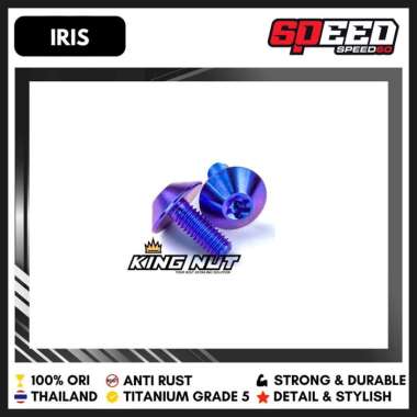Baut M 6 x 15 Drat 10 x 15 M, 6 x 20 Drat 10 x 20 Baut Titanium Grade 5 Probolt Thailand King Nut 6 
