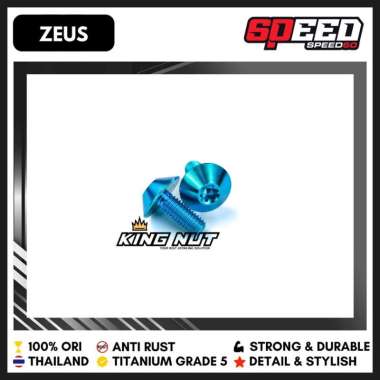 Baut M 6 x 15 Drat 10 x 15 M, 6 x 20 Drat 10 x 20 Baut Titanium Grade 5 Probolt Thailand King Nut 6 
