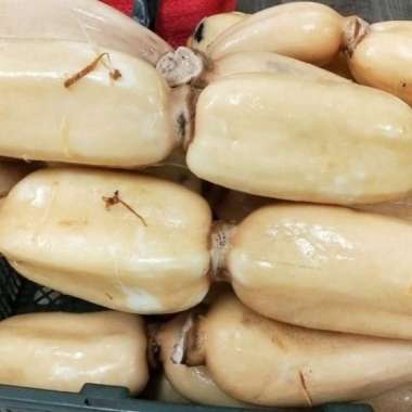 HasilSumberalaM Sayur Segar Akar Teratai/Lotus Root 500gr 500 gram