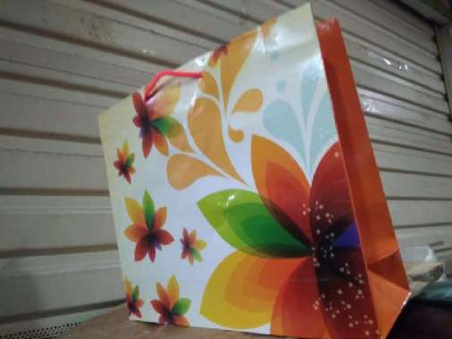 Paper Bag 30x25*9