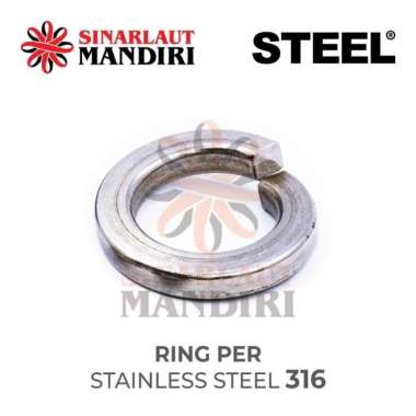 Ring Ver Stainless Steel 316 / Ring Per SS / Spring Washer M5 (3/16)