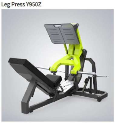 Leg Press Y950(S) Plate Loaded Leg Press DHZ Fitness import
