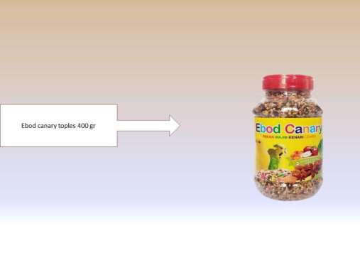 PAKAN LOMBA BURUNG KENARI EBOD CANARY TOPLES EBOD KENARI TOPLES GACOR