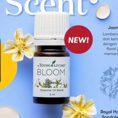 Bloom 5ml by YL Essential oil - Original dan Segel