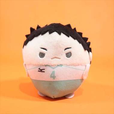 No Box Iwaizumi Hajime Fuwakororin 4 - Haikyu 9cm