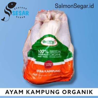 Ayam Kampung Organik 1kg - Ayam Kampung Segar