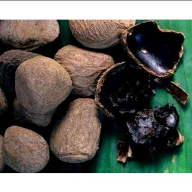 Kluwek Pucung Kaluwak picung 250 gram.