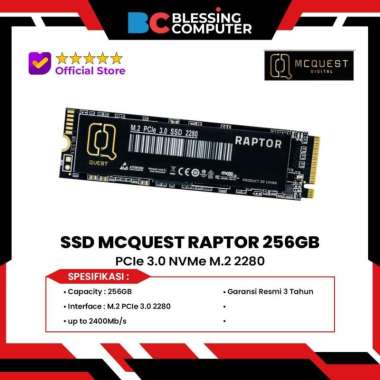 SSD MCQUEST RAPTOR 256GB PCIe 3.0 NVMe M.2 2280