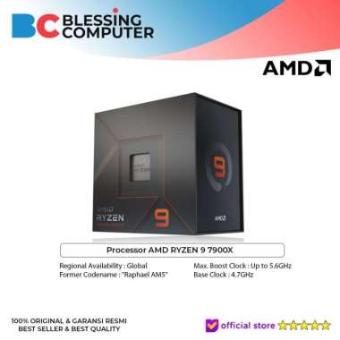 Processor AMD RYZEN 9 7900X
