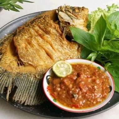 Ikan Gurame Super 2 Ekor Marinasi Bumbu Praktis Tinggal Goreng Bakar Pepes Gulai dll Oleh2 Oleh Oleh