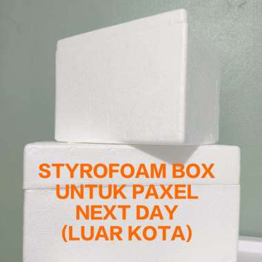 Styrofoam Box