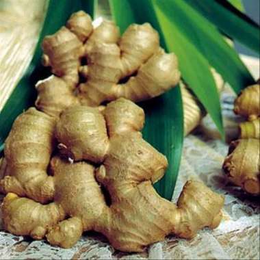 Jahe Emprit 1kg - 01