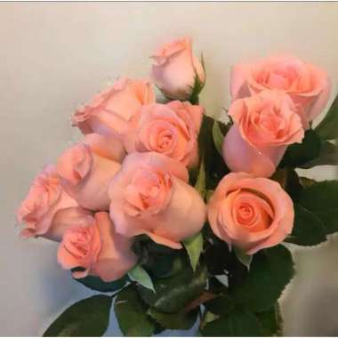 1 Tangkai Bunga Mawar Palsu Panjang 51cm Artificial Flower Autumn Rose Putih