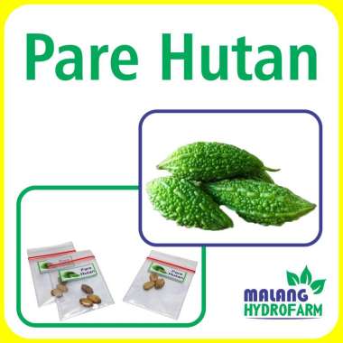 Benih Pare Hutan Unggulan Berkualitas biji bibit repack Paria Mini hydroponik hidroponik sayur sayur