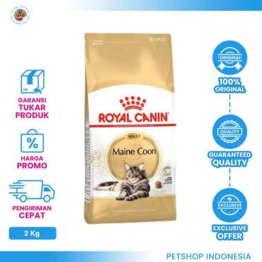 Royal Canin Maine Coon Adult 2kg – Makanan Kucing Dewasa Ras Maine Coon