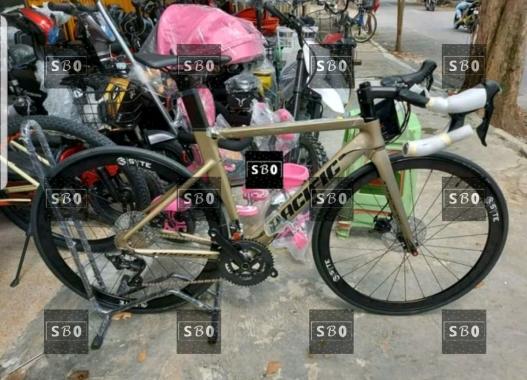 Roadbike 700C Pacific Magenta Shimano 2 x 11 Speed Terbaru