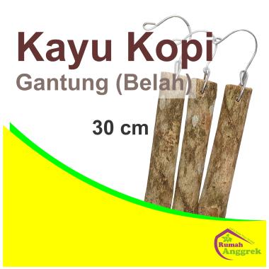 Media Tanam Kayu Kopi Belah 30 cm potong pohon batang besar gantung ranting anggrek tilansia keras k