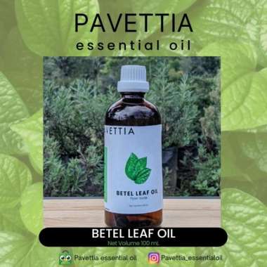 100 ml - Minyak atsiri daun sirih / Betel leaf essential oil