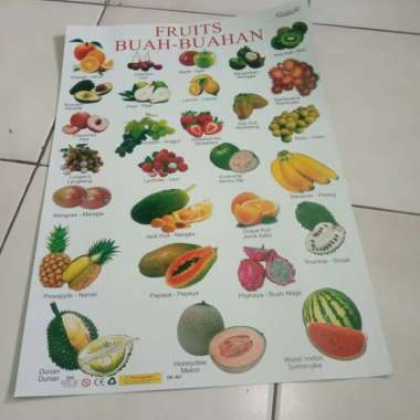 poster buah buahan fruits Multivariasi Multicolor