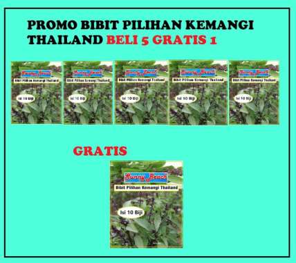 Promo Bibit Pilihan Kemangi Thailand Beli 5 Gratis 1