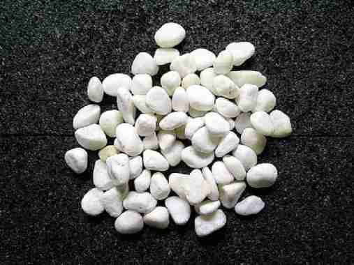 Batu koral putih untuk hiasan tanaman | 500 gram