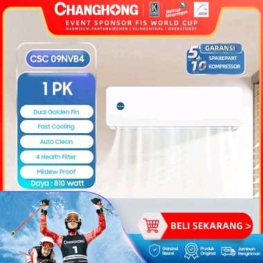 CHANGHONG CSC 09NVB4 AC Split Standard 1 PK Double Gold CSC09NVB4