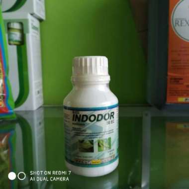 INSEKTISIDA INDODOR 50 EC 100 ML