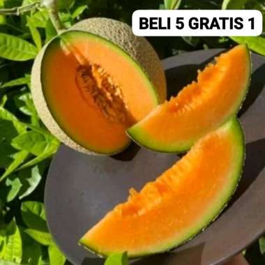 50 Benih Bibit Biji Melon RED SWEET MERLIN F1, Premium Hibrida Seeds, Super Manis dan renyah