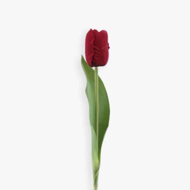KANA Tulip - Artificial Flower / Bunga Dekorasi