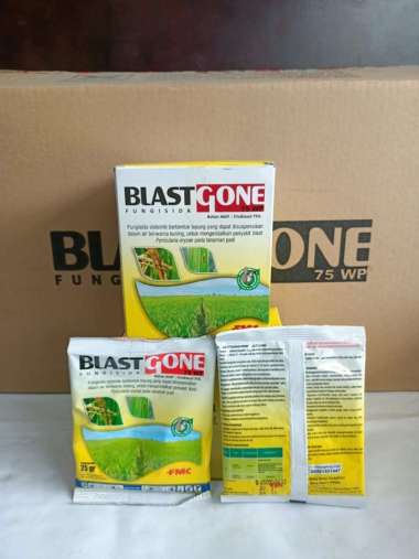 FUNGISIDA BLASTGONE 75WP 25GR ISI 12BKS