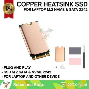 HEATSINK SSD M.2 NVME M.2 SATA 2242 COOLING STEAM DECK LAPTOP COOLER