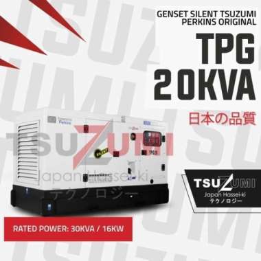 Perkins TPG 20 KVA Generator Set