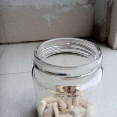 Gigi Asli Manusia Untuk Praktikum Mahasiswa gigi berlubang