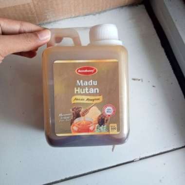 Madu Hutan Akasia Magium Fresh 500 g Best Qualty Annabawy + Gratis Sendok Cantik 100% Asli Alami
