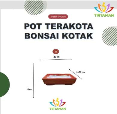 pot terakota bonsai kotak / pot gerabah bonsai kotak / pot bonsai tanah liat kotak [khusus kurir ins