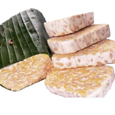 Tempe Daun Besar 1 Papan