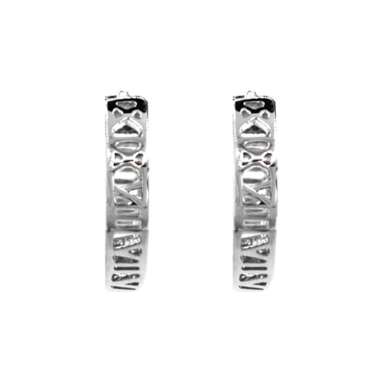 Dparis Anting Model Bulat GMD10000