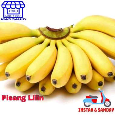 Pisang Lilin Lampung Kecil Pisang Lampung 1 sisir
