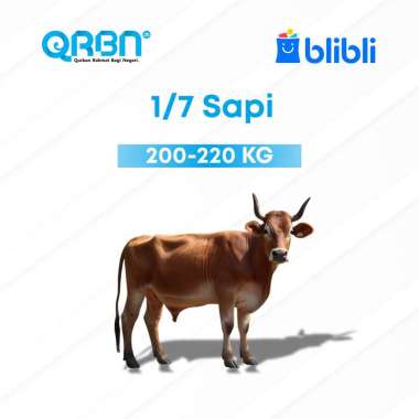 Sahabat Yatim - Qurban Nusantara 2025 - Qurban 1/7 Sapi