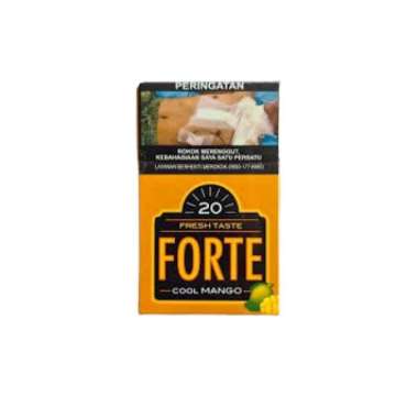 Forte Cool Mango 20 pcs