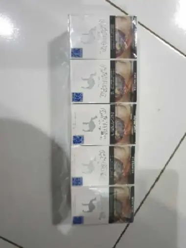Rokok Camel 1 Slop 10 Bungkus 🔥 Harga Grosir Juli 2026