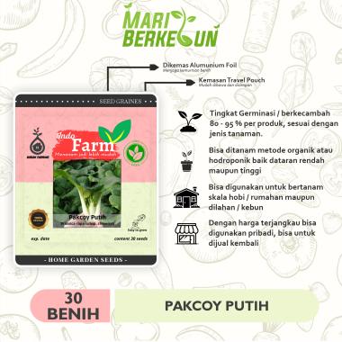 Benih Biji Bibit 30 Tanaman Sawi Pakcoy Putih / Pakcoy White Steam / Sawi Daging Putih Kualitas Ungg