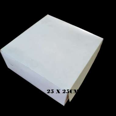 BOX SNACK POLOS |DUS NASI 25X25 CM POLOS PUTIH ISI 10