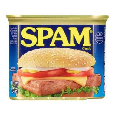 SPAM CLASSIC 340G