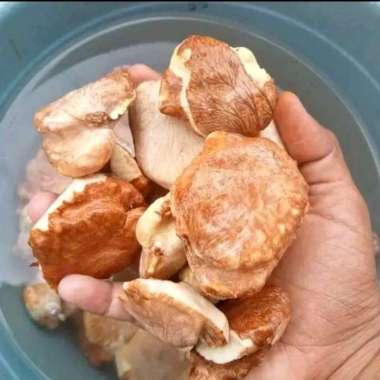 Gayam Mentah Khas Tuban Cocok Diolah Apa Saja (Kemasan 1kg)